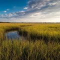 The Power of Coalitions in Boosting Tourism and Economic Growth in Northwest Florida