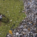 The Power of Coalitions in Addressing Environmental Concerns in Northwest Florida