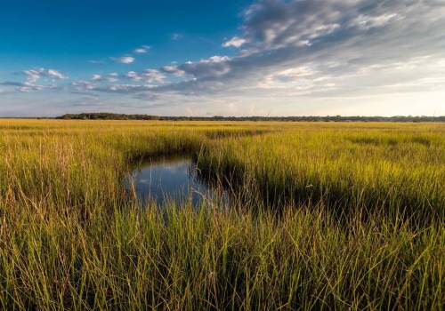 The Power of Coalitions in Boosting Tourism and Economic Growth in Northwest Florida